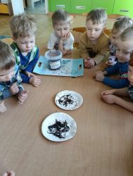 Krasnale - mali badacze przyrody (14)