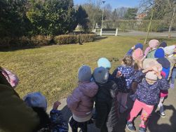 Krasnale - mali badacze przyrody (3)