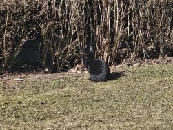 Krasnale - mali badacze przyrody (2)