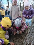 Krasnale - mali badacze przyrody (4)