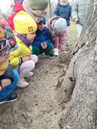 Krasnale - mali badacze przyrody (6)