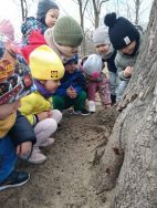 Krasnale - mali badacze przyrody (5)