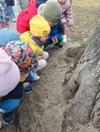 Krasnale - mali badacze przyrody (7)