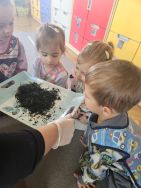 Krasnale - mali badacze przyrody (19)