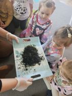 Krasnale - mali badacze przyrody (20)