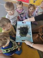 Krasnale - mali badacze przyrody (1)