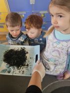 Krasnale - mali badacze przyrody (2)