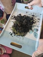 Krasnale - mali badacze przyrody (5)