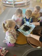 Krasnale - mali badacze przyrody (6)