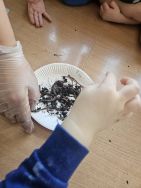 Krasnale - mali badacze przyrody (9)