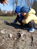 Krasnale - mali badacze przyrody (12)