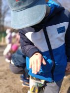 Krasnale - mali badacze przyrody (8)