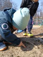 Krasnale - mali badacze przyrody (10)