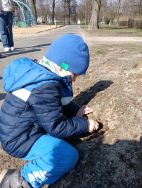 Krasnale - mali badacze przyrody (11)