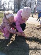 Krasnale - mali badacze przyrody (2)