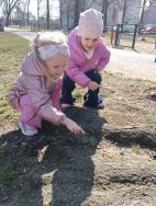 Krasnale - mali badacze przyrody (13)