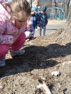 Krasnale - mali badacze przyrody (14)