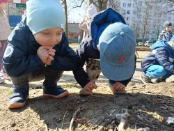 Krasnale - mali badacze przyrody (15)