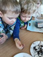 Krasnale - mali badacze przyrody (8)