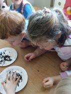 Krasnale - mali badacze przyrody (4)