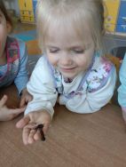 Krasnale - mali badacze przyrody (7)