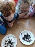 Krasnale - mali badacze przyrody (10)