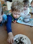 Krasnale - mali badacze przyrody (12)