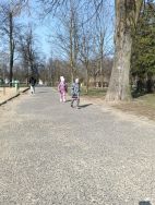 Wiosenny jogging w parku (8)