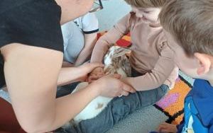 Smerfy i zwierzęta  (12)