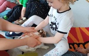 Smerfy i zwierzęta  (13)