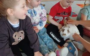 Smerfy i zwierzęta  (4)