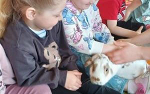 Smerfy i zwierzęta  (5)