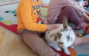 Smerfy i zwierzęta  (11)