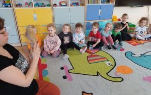 Smerfy i zwierzęta  (13)