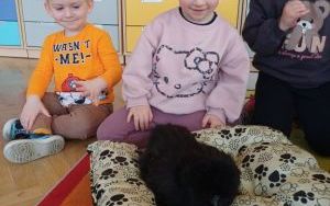 Smerfy i zwierzęta  (10)