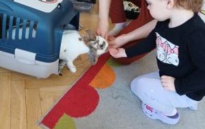 Smerfy i zwierzęta  (15)
