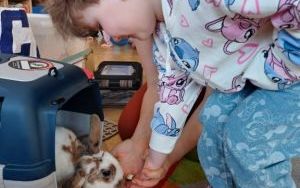 Smerfy i zwierzęta  (15)