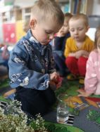 W gospodarstwie u Krasnali (4)