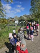 Krasnale w ogrodzie (1)