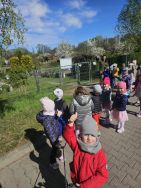 Krasnale w ogrodzie (18)