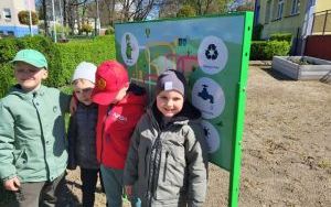 Słoneczka dbają o otaczające środowisko (2)
