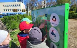 Słoneczka dbają o otaczające środowisko (3)