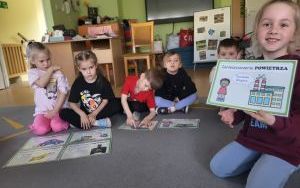 Słoneczka dbają o otaczające środowisko (4)