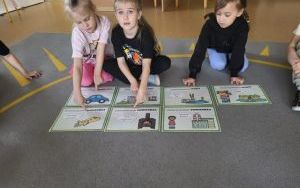 Słoneczka dbają o otaczające środowisko (7)