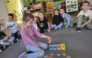 Słoneczka dbają o otaczające środowisko (5)