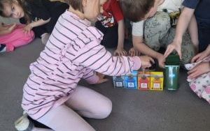 Słoneczka dbają o otaczające środowisko (1)