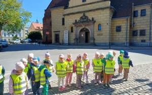 Smerfy poznają Oleśnicę (5)