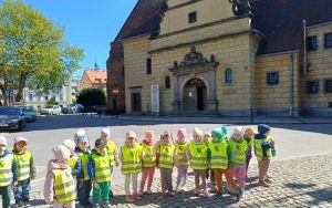 Smerfy poznają Oleśnicę (2)