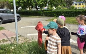Misie i Straż Pożarna (10)