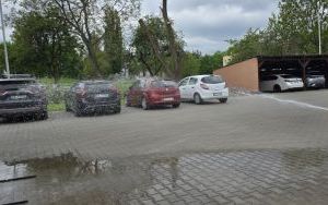 Misie i Straż Pożarna (19)